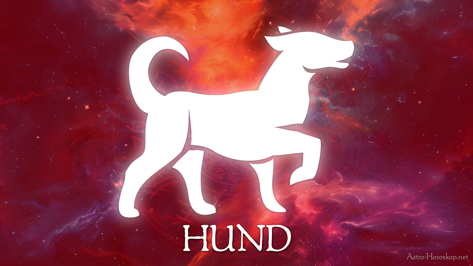 Chinesische Sternzeichen Hund